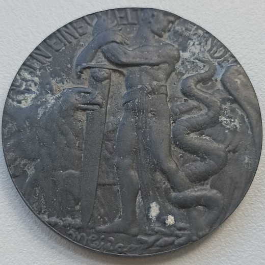 Austrijos-Vengrijos Raudonojo Kryžiaus ir Karo paramos tarnybos labdaros medalis. 1915 m.