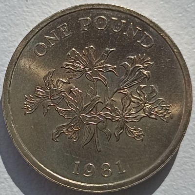 Guernsey. 1 svaras 1981 m.