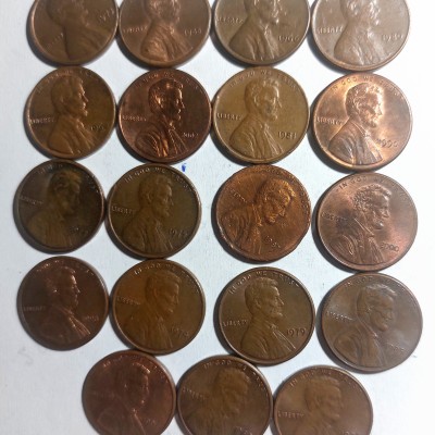 JAV 1 CENTO LOTAS (be kalyklos raidės) 19 vnt.