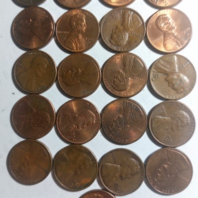 JAV 1 CENTO LOTAS (su D kalyklos raide) 21 vnt.