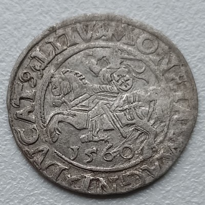 LDK. LDK. Žygimantas Augustas. Pusgrašis 1559 m.