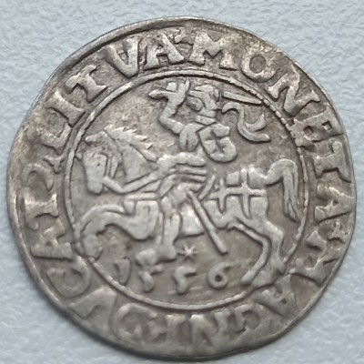 LDK. Žygimantas Augustas. Pusgrašis 1556 m.
