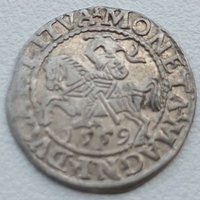 LDK. Žygimantas Augustas. Pusgrašis 1559 m.