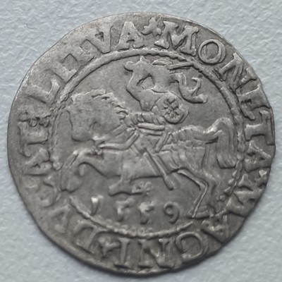 LDK. Žygimantas Augustas. Pusgrašis 1559 m.