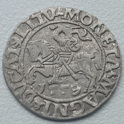 Žygimanto Augusto pusgrašis 1559 m.