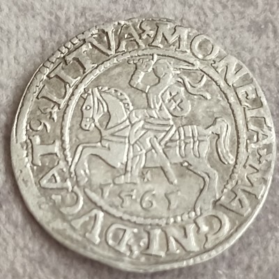 Žygimanto Augusto pusgrašis 1561 m.